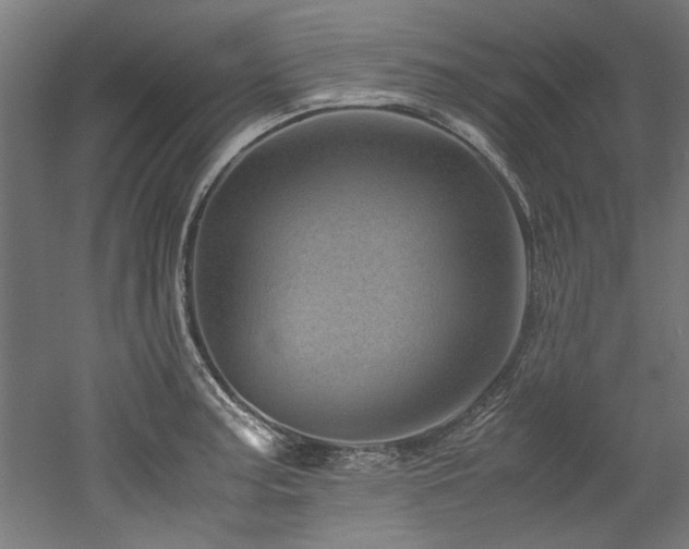 X0000052601187200507011148