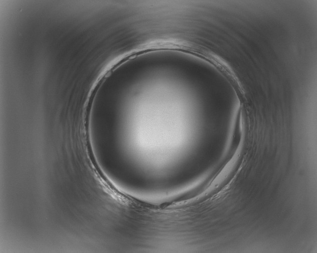 X0000052601192200507011148