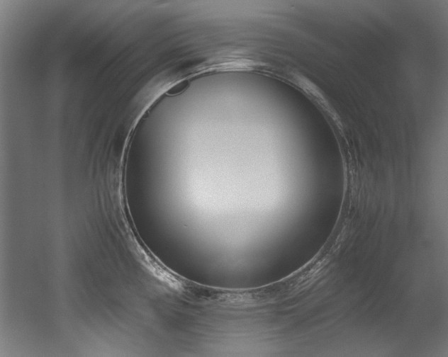 X0000052601194200507011148