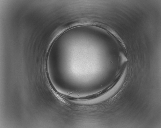 X0000052601197200507011148