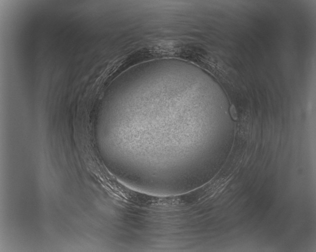 X0000052601201200507011147