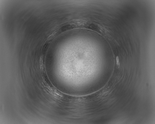 X0000052601203200507011147
