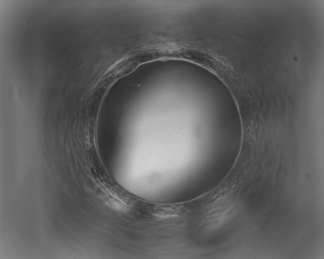 X0000052601205200507011147