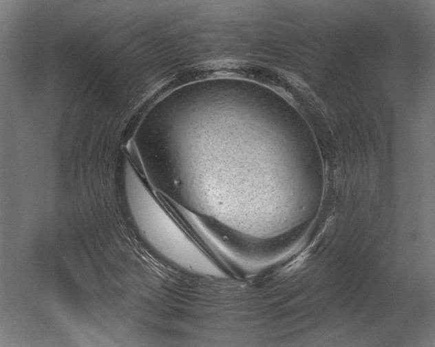 X0000052601209200507011148