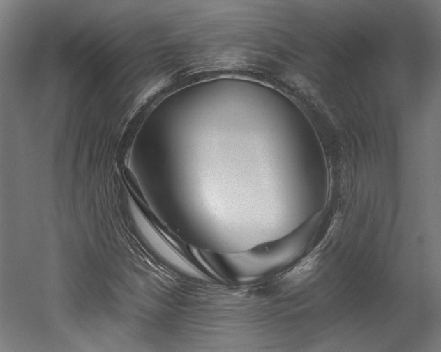 X0000052601210200507011148