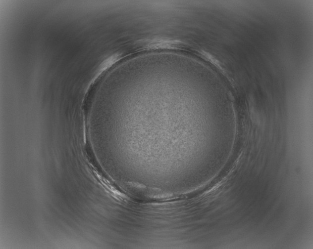 X0000052601219200507011148