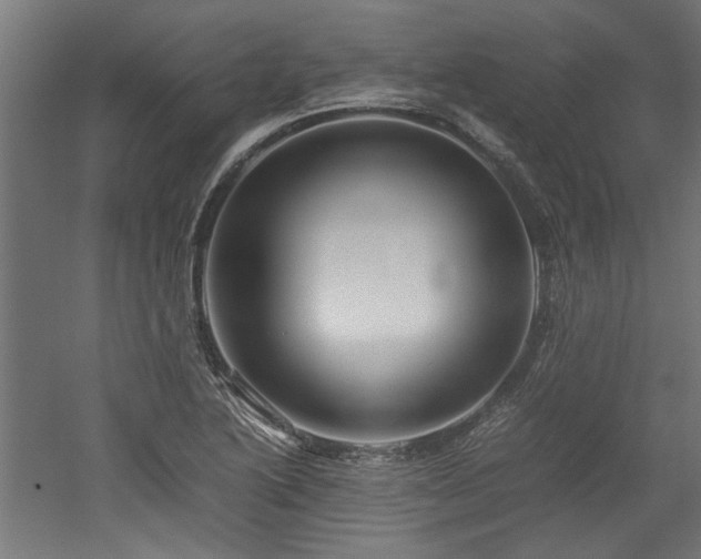 X0000052601222200507011148