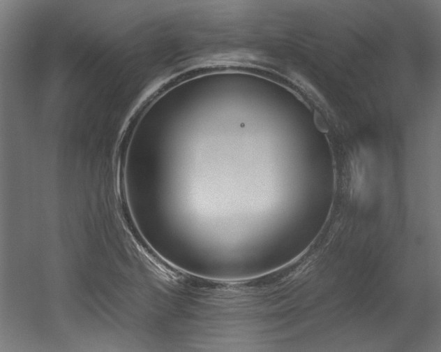X0000052601224200507011148