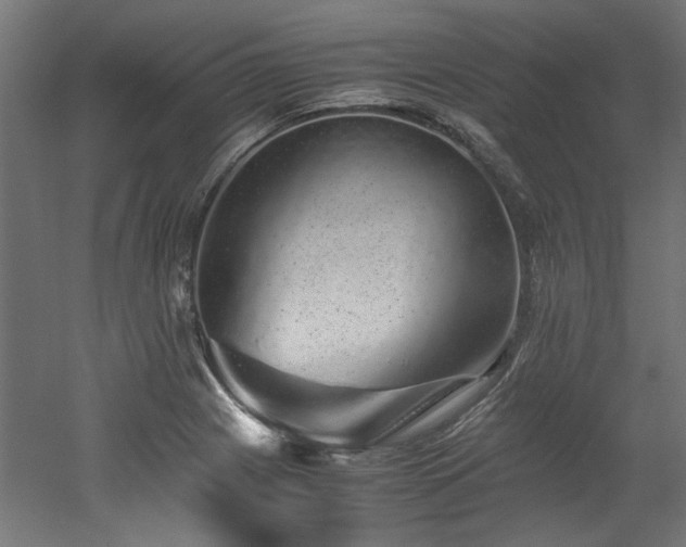X0000052601225200507011148