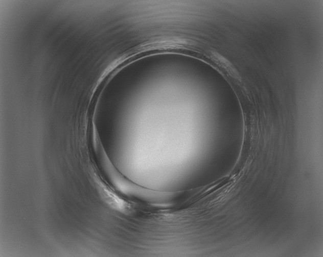 X0000052601226200507011148