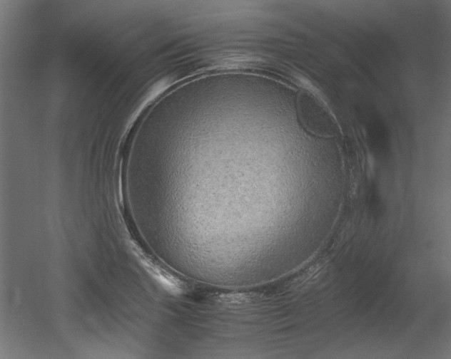 X0000052601227200507011148