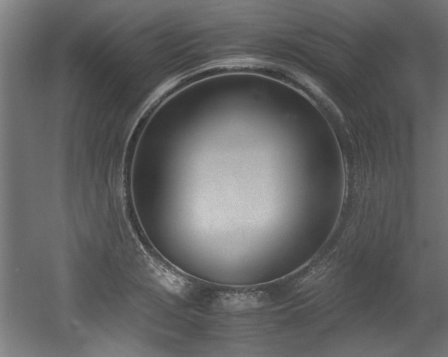 X0000052601229200507011148