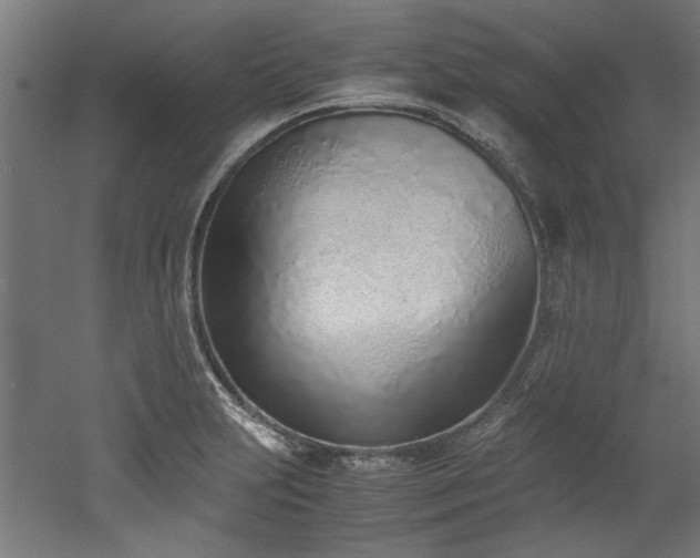 X0000052601231200507011148