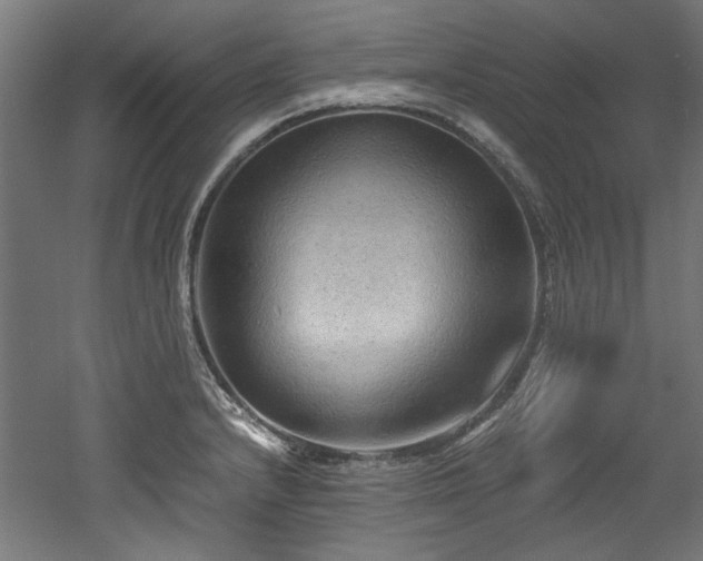 X0000052601232200507011148