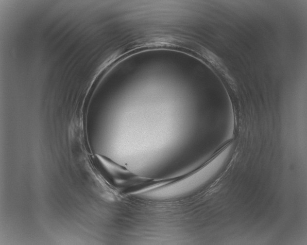 X0000052601234200507011148