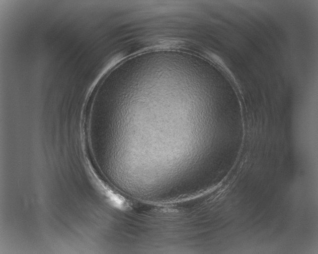 X0000052601235200507011148