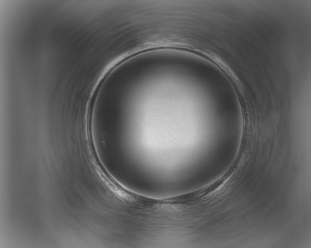 X0000052601246200507011148