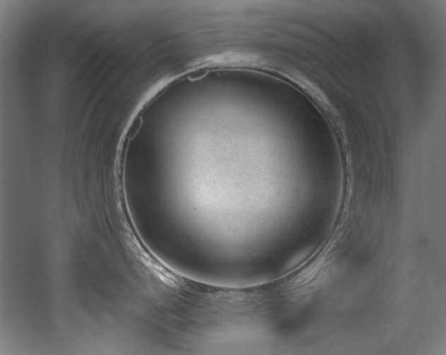 X0000052601248200507011148