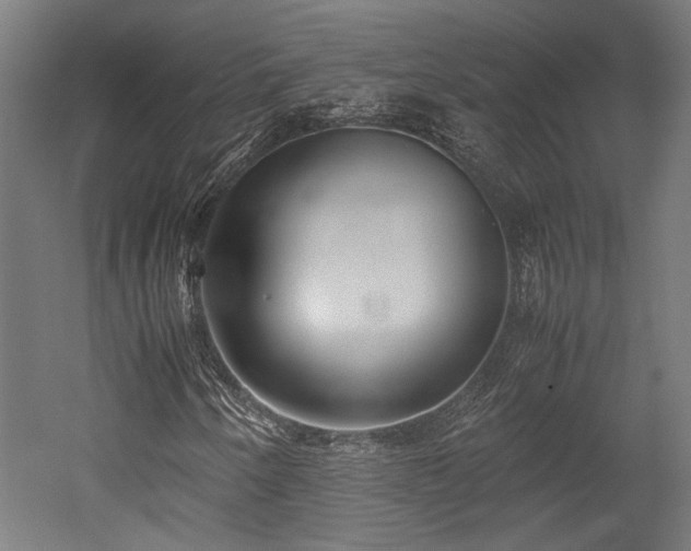 X0000052601250200507011147