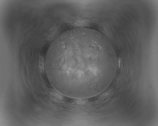 X0000052601251200507011147