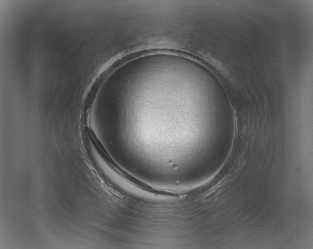 X0000052601264200507011147