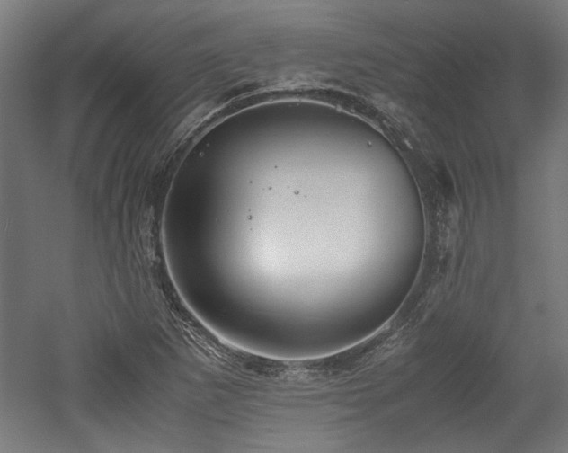 X0000052601265200507011147