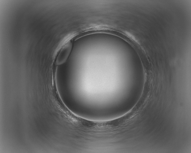 X0000052601269200507011147