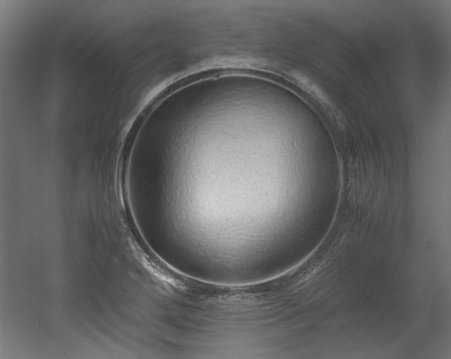 X0000052601272200507011147