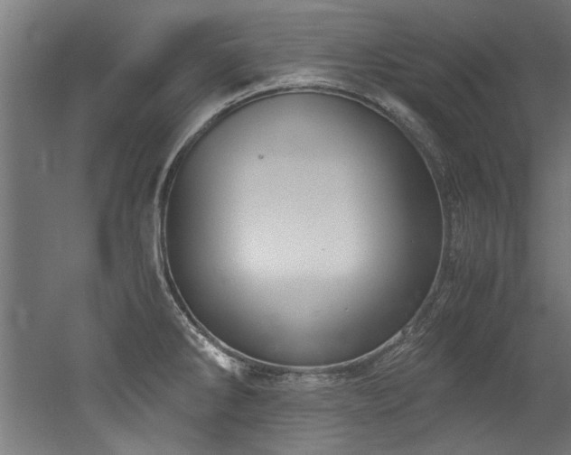 X0000052601286200507011147