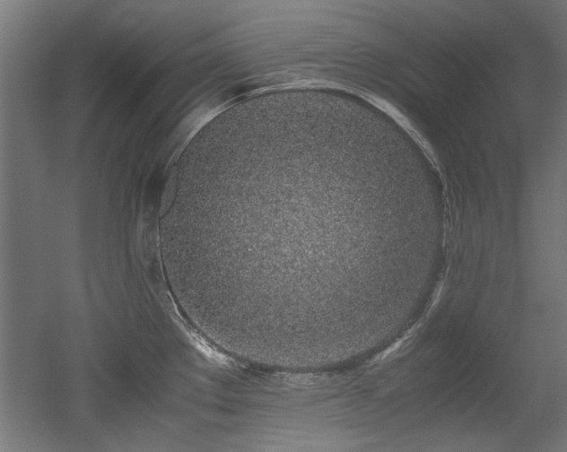 X0000052601289200507011147