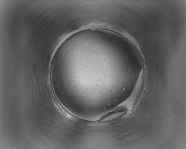 X0000052601296200507011147