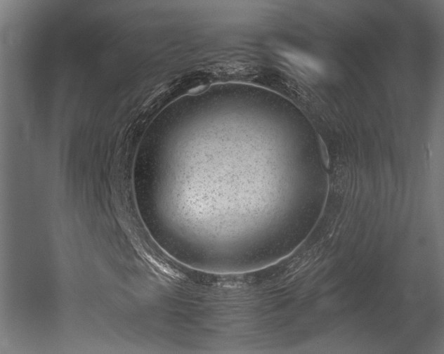 X0000052601297200507011146