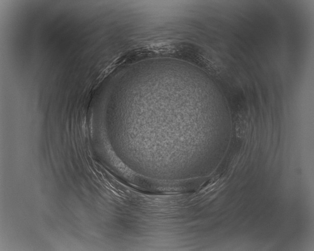 X0000052601298200507011146