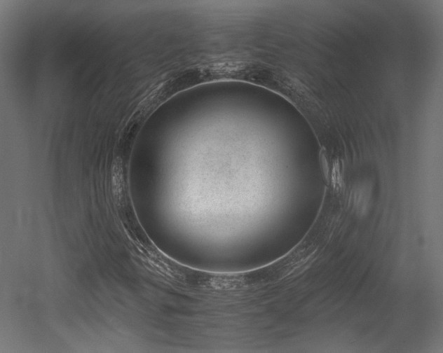 X0000052601299200507011146