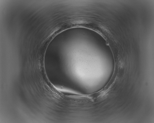 X0000052601305200507011146