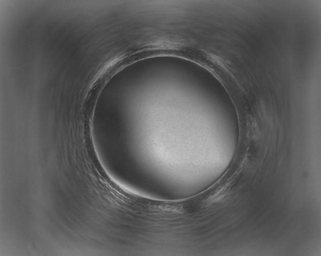 X0000052601307200507011146