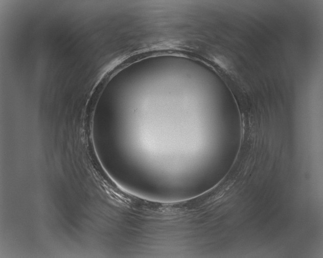 X0000052601308200507011146