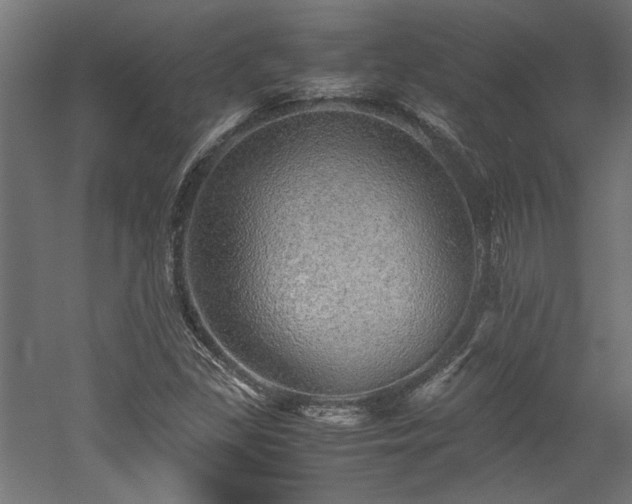 X0000052601309200507011146