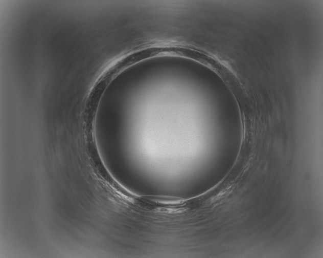 X0000052601311200507011146