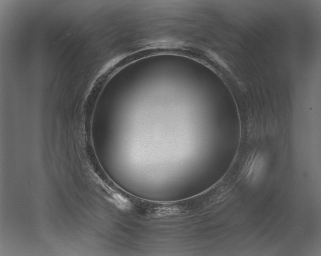 X0000052601315200507011146