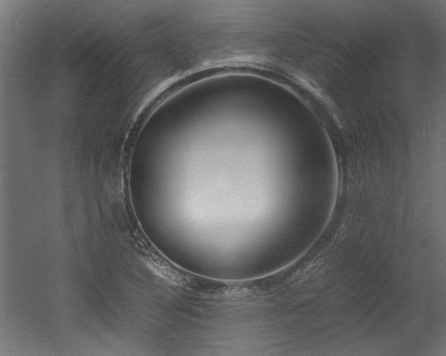 X0000052601316200507011146