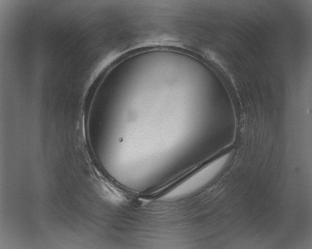 X0000052601320200507011146