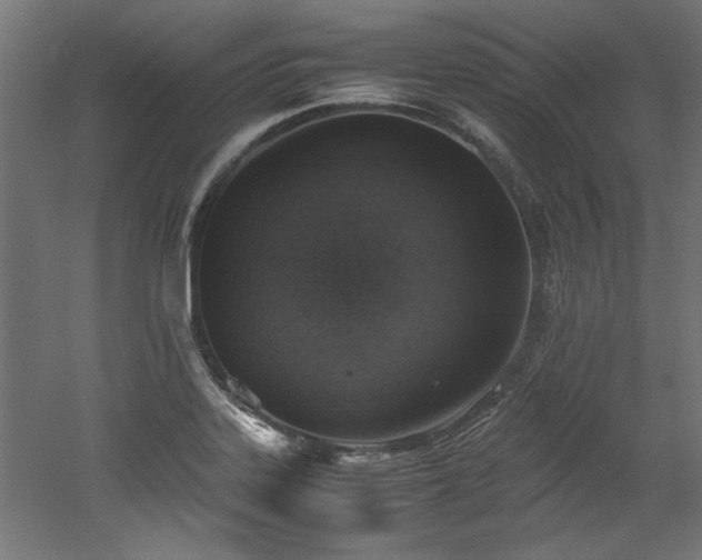 X0000052601323200507011146
