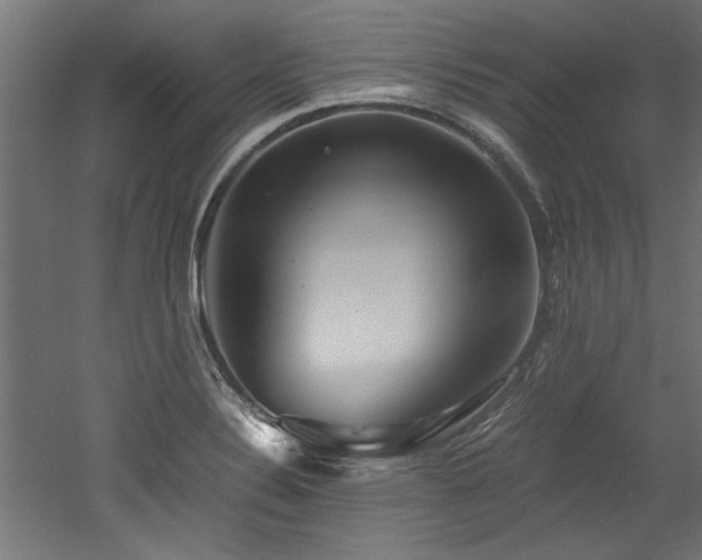 X0000052601324200507011146