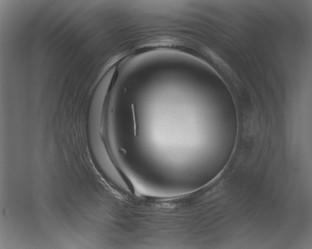 X0000052601329200507011146