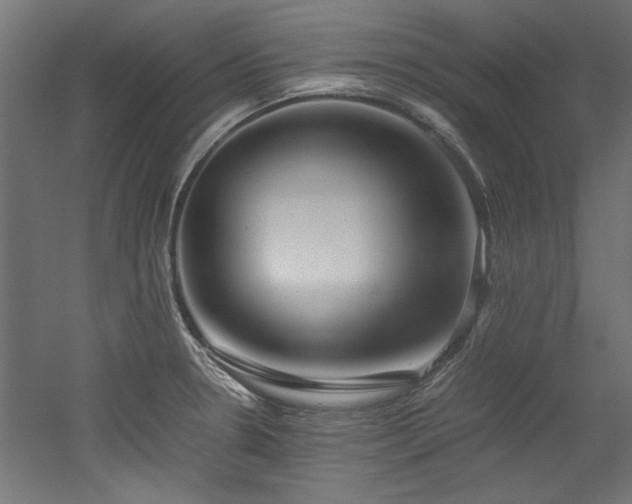 X0000052601330200507011146