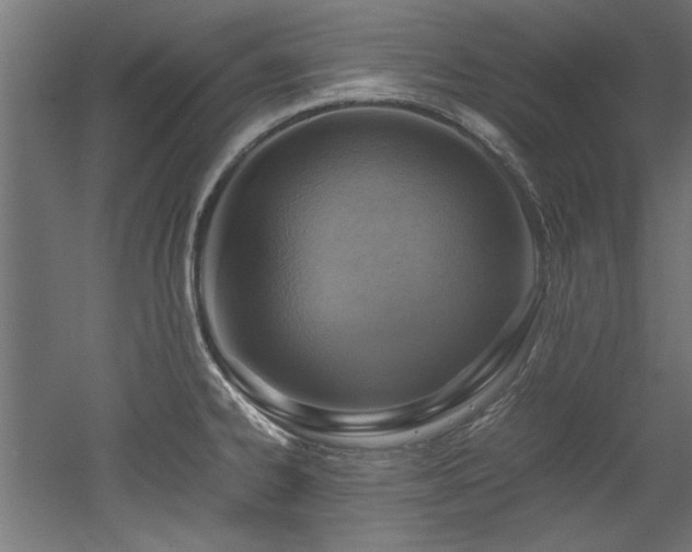 X0000052601334200507011146