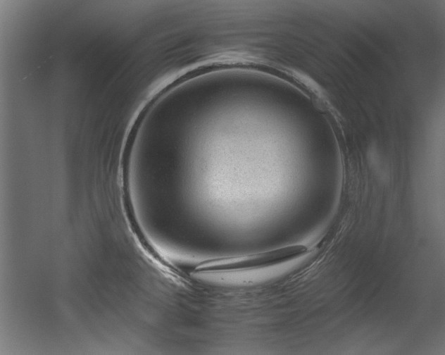 X0000052601335200507011146