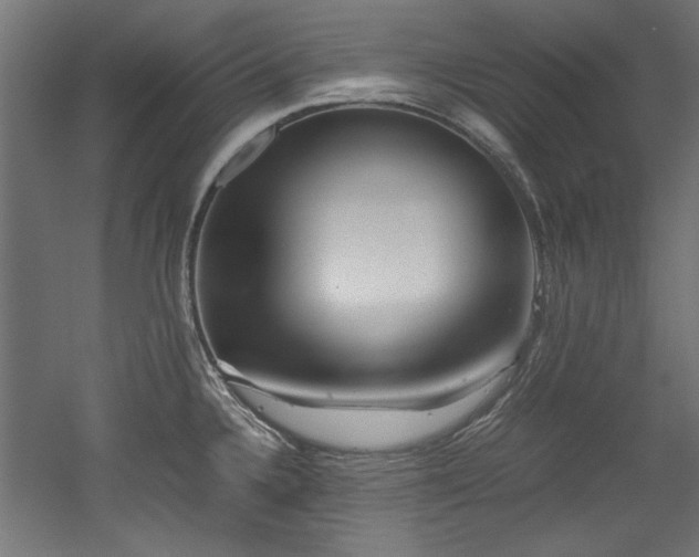 X0000052601336200507011146