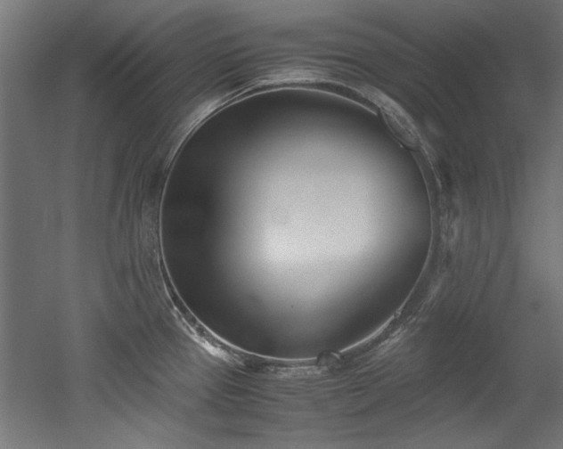 X0000052601337200507011146